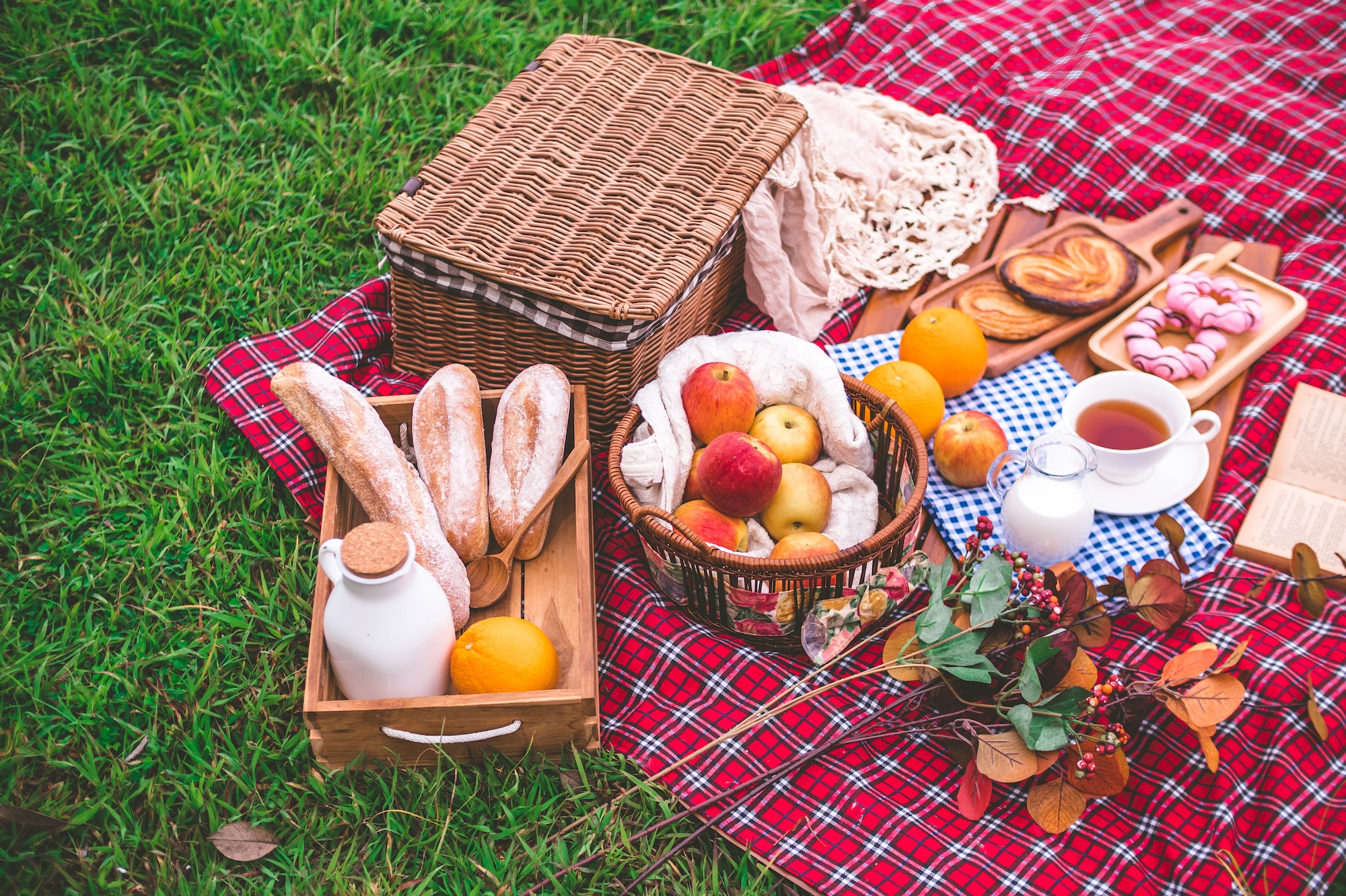 Summer picnic with a basket of food on blanket in the park.